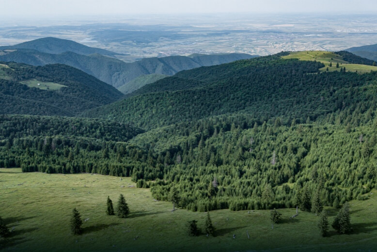 Geodezja i budownictwo - zastosowanie dronów DJI przy pomiarach tenerowych, fotogrametrii, planowaniu oraz tworzeniu modeli terenowych.